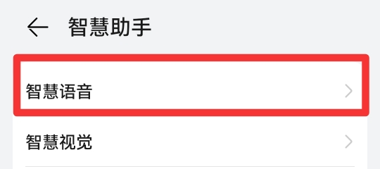 语音助手在哪里关闭