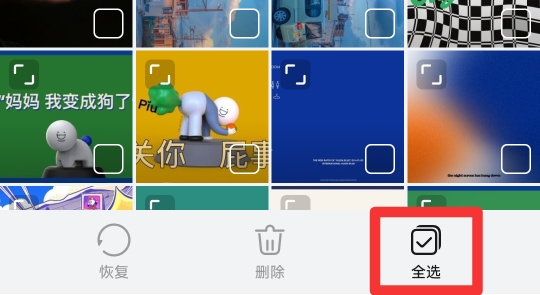 手机相册回收站清空了能恢复吗