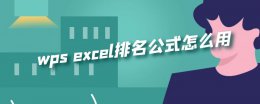 wps排名怎么操作步骤 wps excel排名公式怎么用