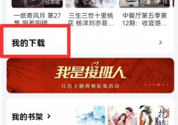 芒果tv电视剧怎么下载不了 芒果tv下载的电视剧在哪里看