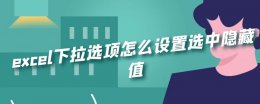 excel筛选隐藏怎么设置 excel下拉选项怎么设置选中隐藏值