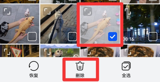 怎么恢复相册永久删除的照片