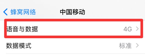 苹果12如何关闭5G用4G