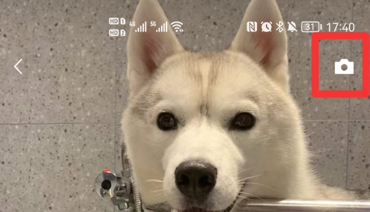 微信只发文字怎么发朋友圈