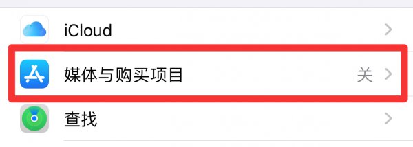 苹果12为什么下载不了软件