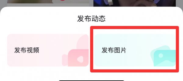皮皮陪玩动态怎么发