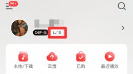 网易云音乐等级听歌量怎么计算 为什么网易云等级听歌记录不累计