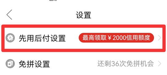 怎么看拼多多先用后付额度