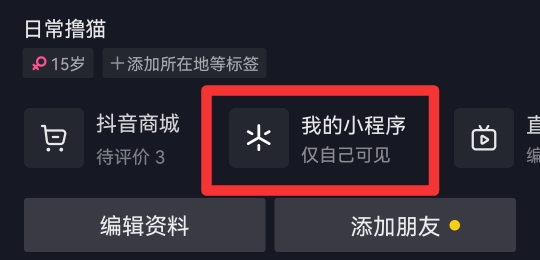 抖音怎么关闭小程序服务