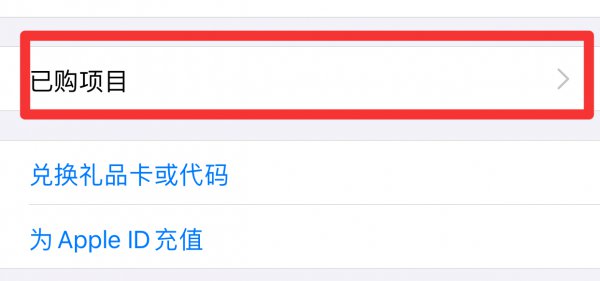 iPhone怎么查最近删除的app