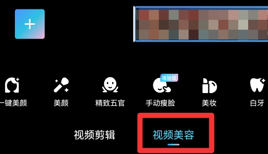 视频怎么p脸