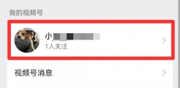 企业视频号怎么申请 企业视频号怎么申请7.0.14