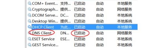 DNS服务器未响应解决教程