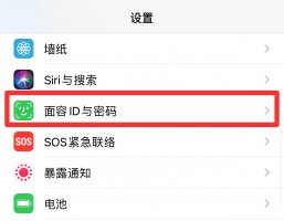 appstore开启面容支付 appstore怎么开启面容下载