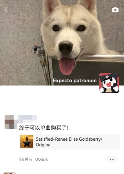 微信朋友圈可以看访客记录吗