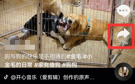别人的抖音作品怎么变成自己的作品