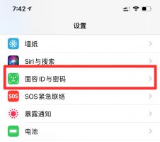 苹果替代面容 苹果替用外貌是可以两个面容吗