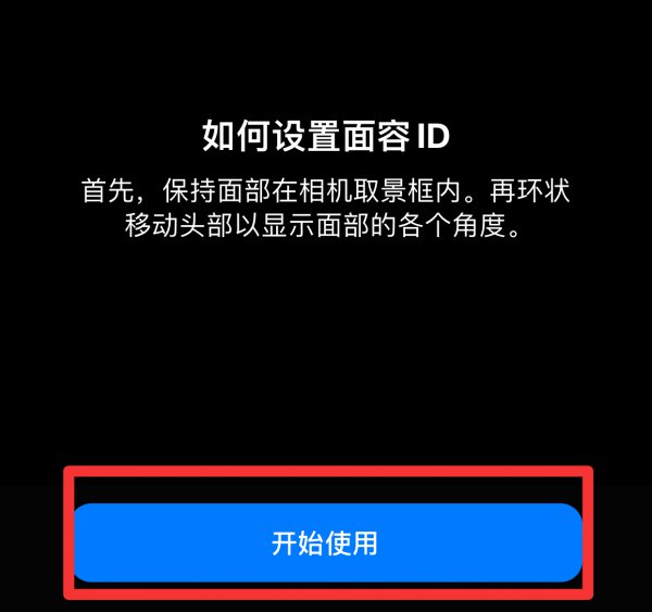 苹果替用外貌是可以两个面容吗