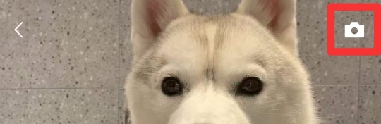 微信朋友圈突然发不了视频