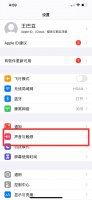 苹果手机声音怎么调 苹果手机声音怎么调小一点