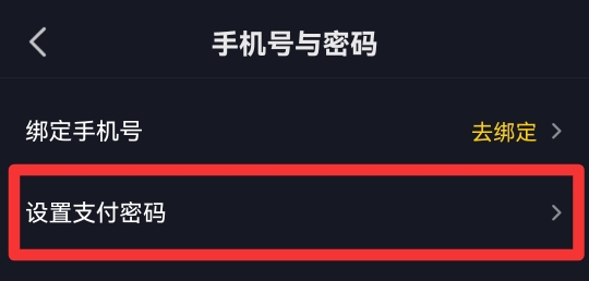 抖音支付密码在哪里设置