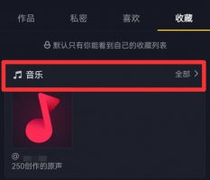 抖音收藏的音乐怎么拍同款 抖音拍好的视频可以用收藏里的音乐吗