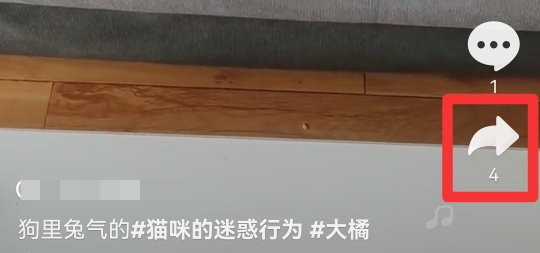 新版本抖音转发在哪里