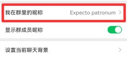 怎样在群里改名 在群里怎么改昵称为实名