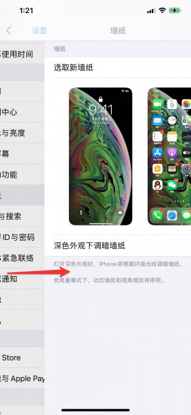 苹果12怎么返回上一个界面