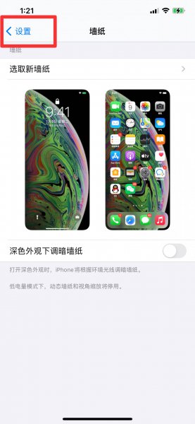 苹果12怎么返回上一个界面