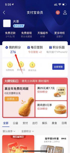 支付宝支付分在哪里看
