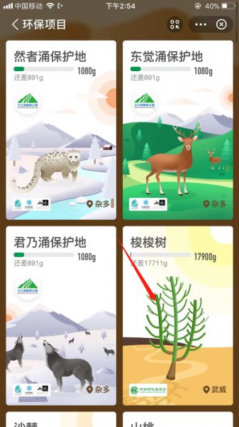 支付宝怎么种树