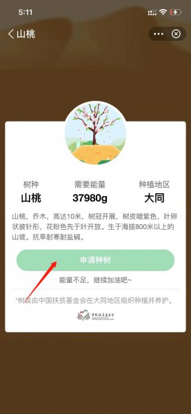 支付宝怎么种树