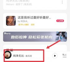 网易云只买单曲不买专辑 网易云如何购买单曲不买专辑