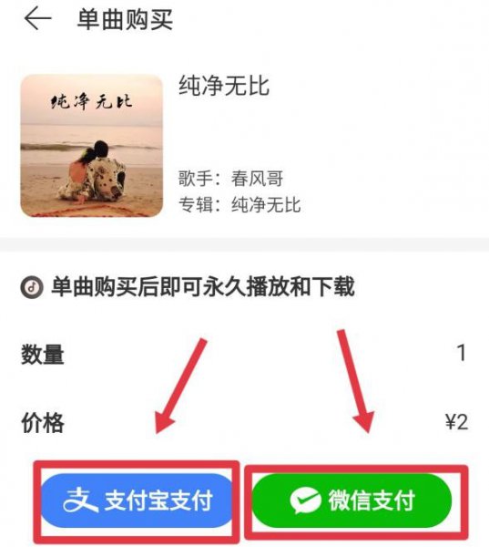 网易云如何购买单曲不买专辑