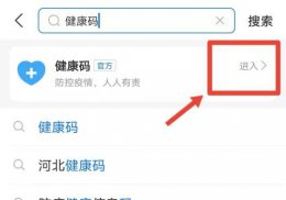 核酸结果支付宝怎么查 怎么在支付宝查询核酸检测结果