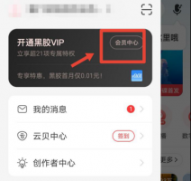 网易云青春连续包月在哪里 网易云连续包月是每月5块吗