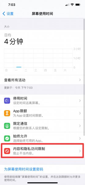 苹果手机麦克风权限空白