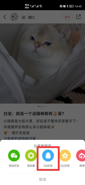 小红书复制文字怎么复制