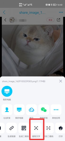 小红书复制文字怎么复制