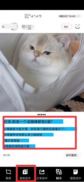 小红书复制文字怎么复制