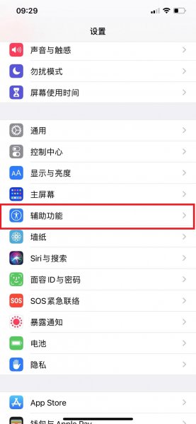 苹果朗读功能怎么开启