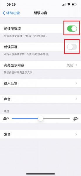 苹果朗读功能怎么开启