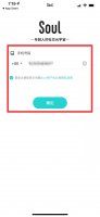 soul需要手机注册吗 soul必须用手机号注册登录吗