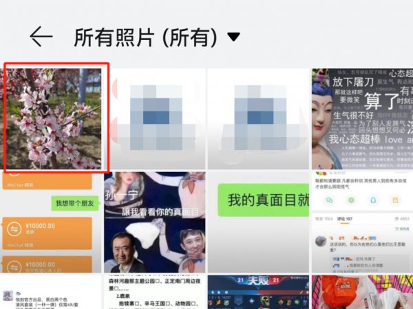 自己拍的花怎么配文字