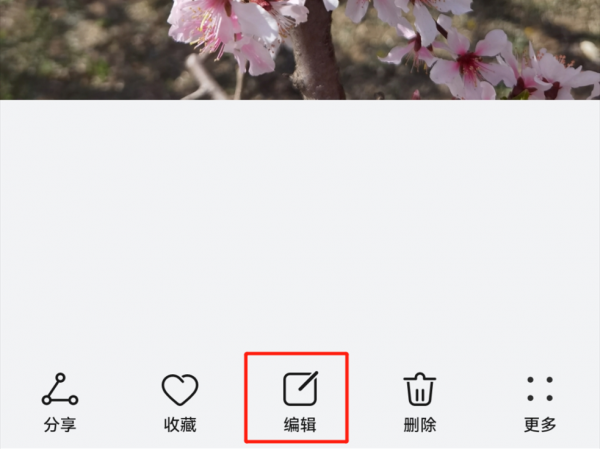 自己拍的花怎么配文字