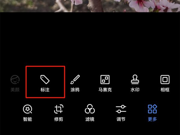 自己拍的花怎么配文字