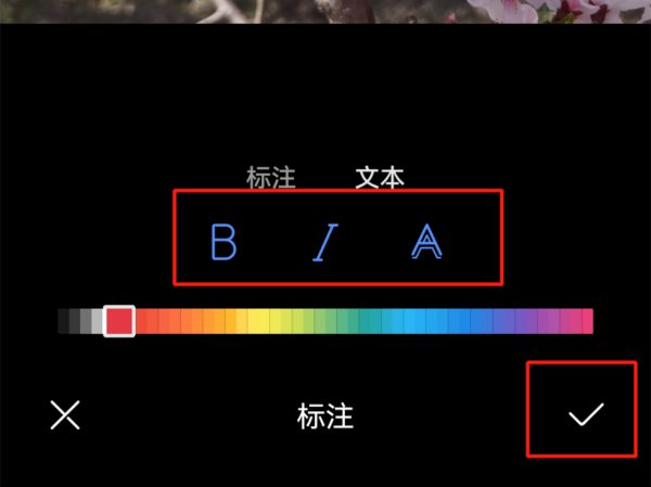 自己拍的花怎么配文字