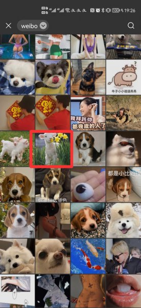 设置微信主题壁纸