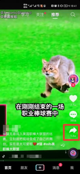 抖音没有转发功能怎么回事